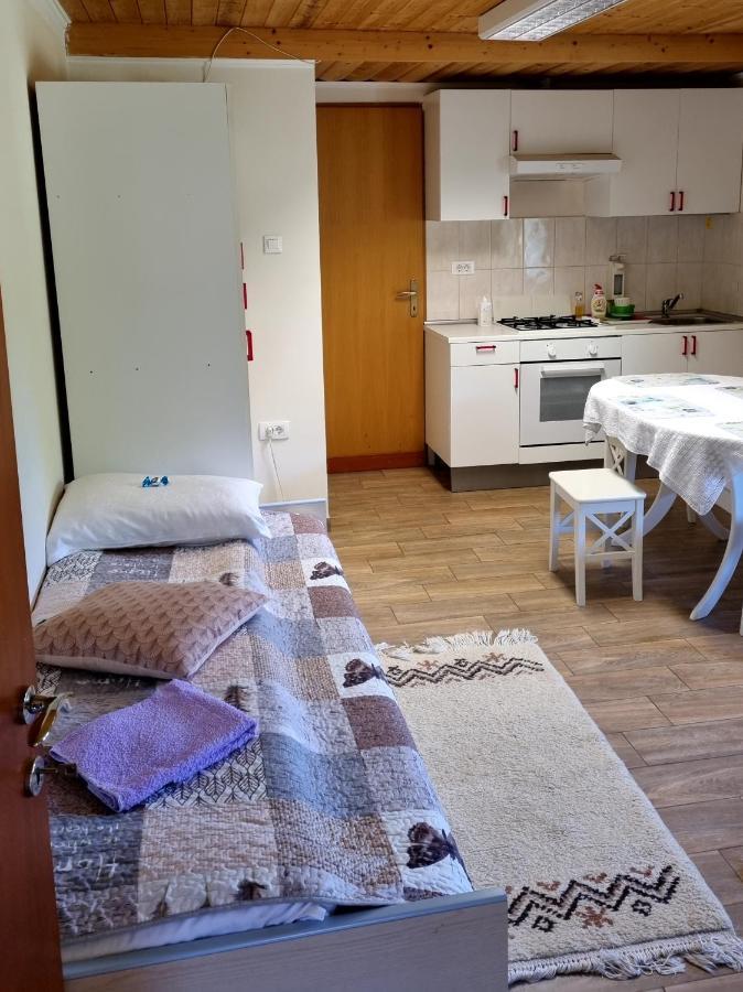 Dobra Hisa Zdravja Cicarija Hotel Golac ภายนอก รูปภาพ